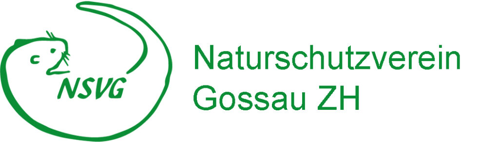 Logo_NVGossau